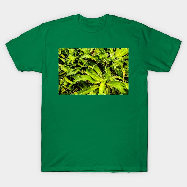 Spiky leaves T-Shirt by thadz